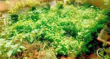 Spacious beautiful luxury flat