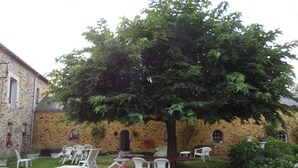 A courtyard with stone walls, outdoor seating, and a large tree.
