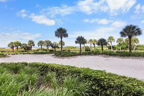 Condo, 1 King Bed (First floor walkout beachfront condom) | Beach