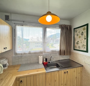 Fridge, microwave, oven, coffee/tea maker