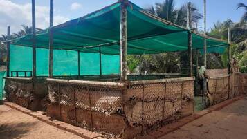 A covered outdoor seating area with a green canopy, surrounded by woven walls and palm trees in the background.