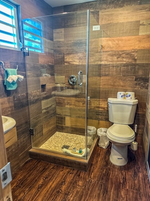Shower, hair dryer, towels, soap