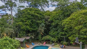 A backyard with a swimming pool surrounded by lush greenery and various colorful chairs. - Hotel Sun Sun Lodge (Horquetas)