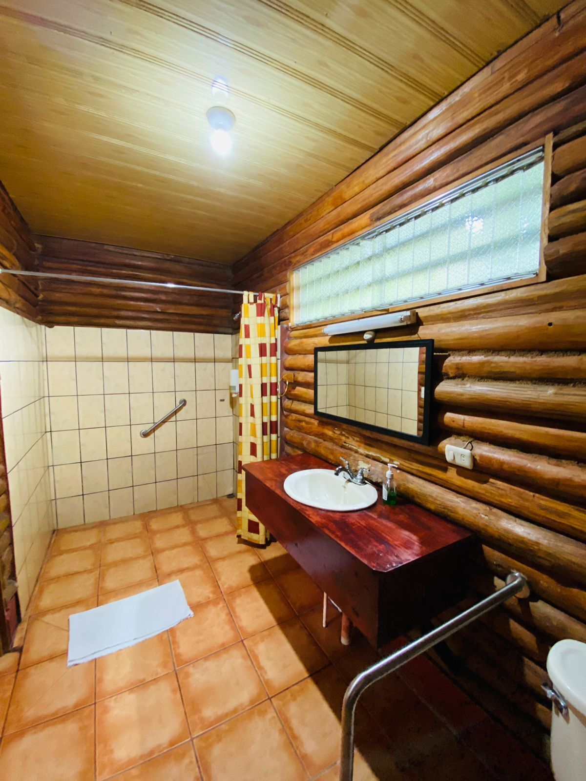 淋浴设施、肥皂、卫生纸