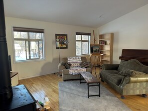 Smart TV, fireplace, books