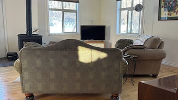 Smart TV, fireplace, books