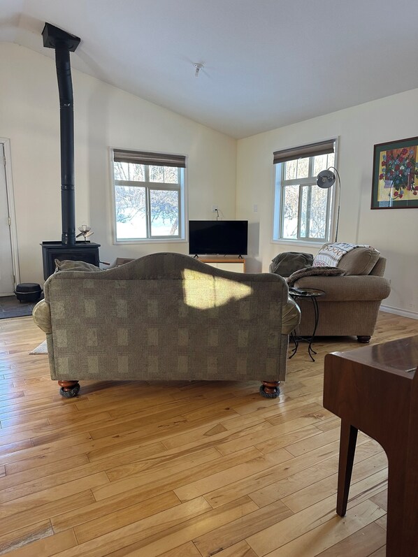 Smart TV, chimenea y libros 