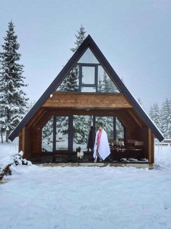 Exterior - Mountain Home Durmitor 1 (Uskoci)