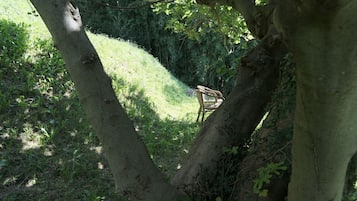 Ngoại thất