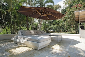 Terras