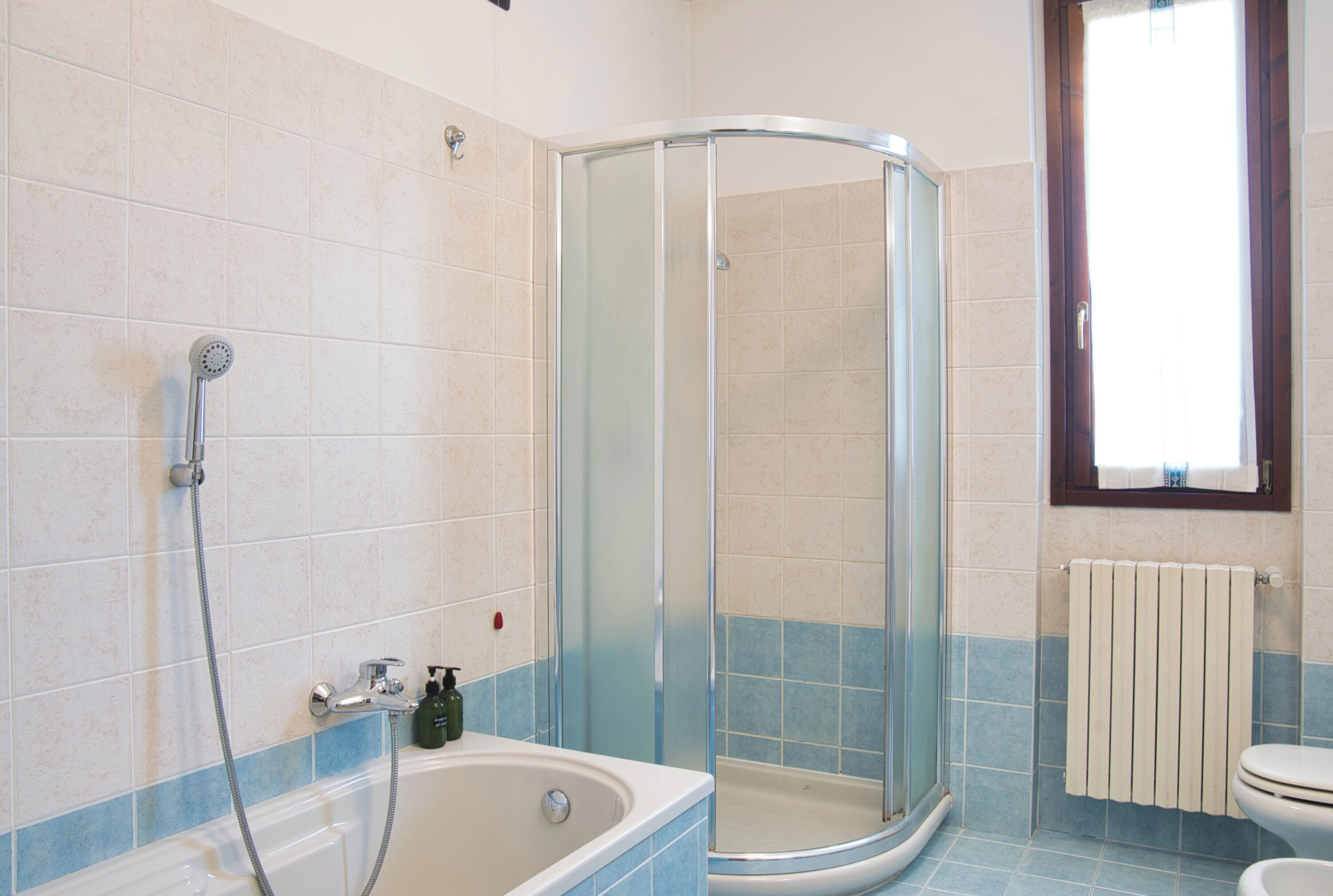 Shower, hair dryer, bidet, towels