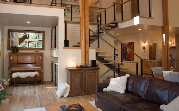 Smart TV, fireplace, books, music library