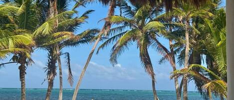 Na praia, espreguiçadeiras, toalhas de praia