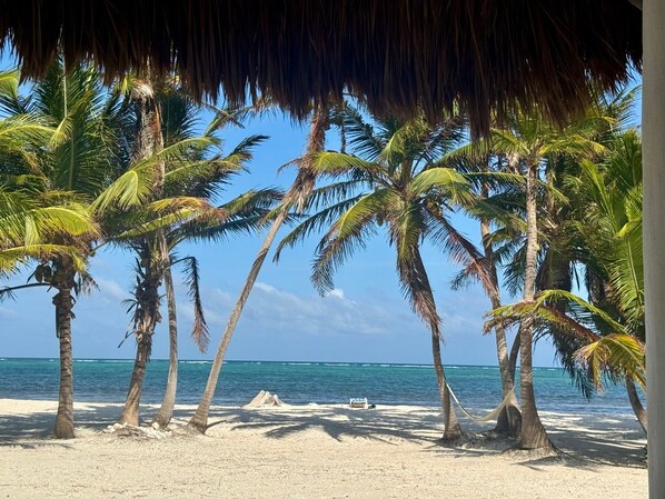 On the beach, sun loungers, beach towels