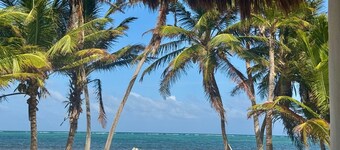 Casona Palms - Barefoot Luxury in Private Beachfront 3 Bedroom Villa and Casita