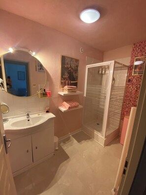 Shower, hair dryer, soap, toilet paper