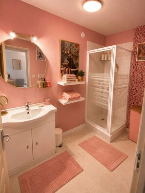 Regadera, secadora de cabello, jabón, papel de baño 