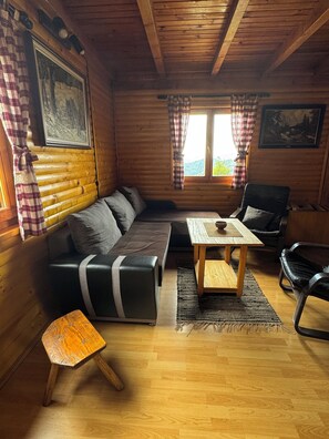 Smart-TV, Kamin