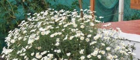 Terrain de lâhĂ©bergement