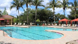Una piscina con sillones de playa y sombrillas, rodeada de palmeras.
