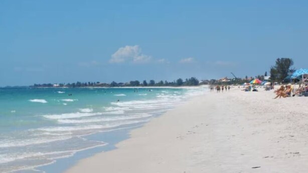 A beach with clear blue water, sandy shore, and umbrellas.