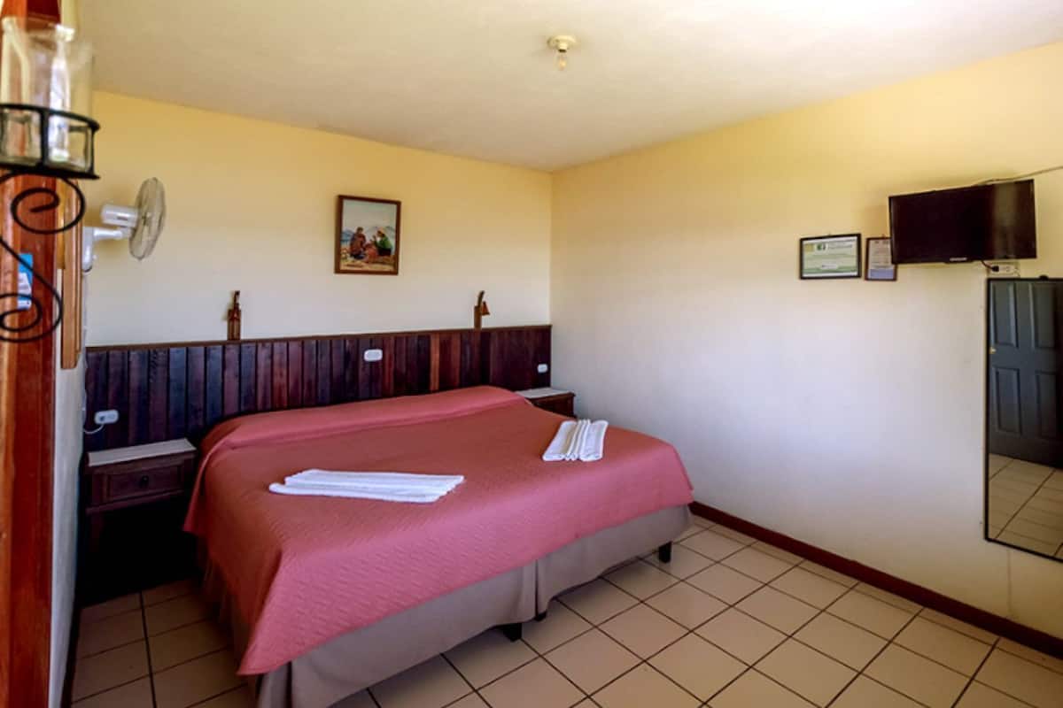A hotel room with a bed, a bedside table, a mirror, and a wall-mounted TV.