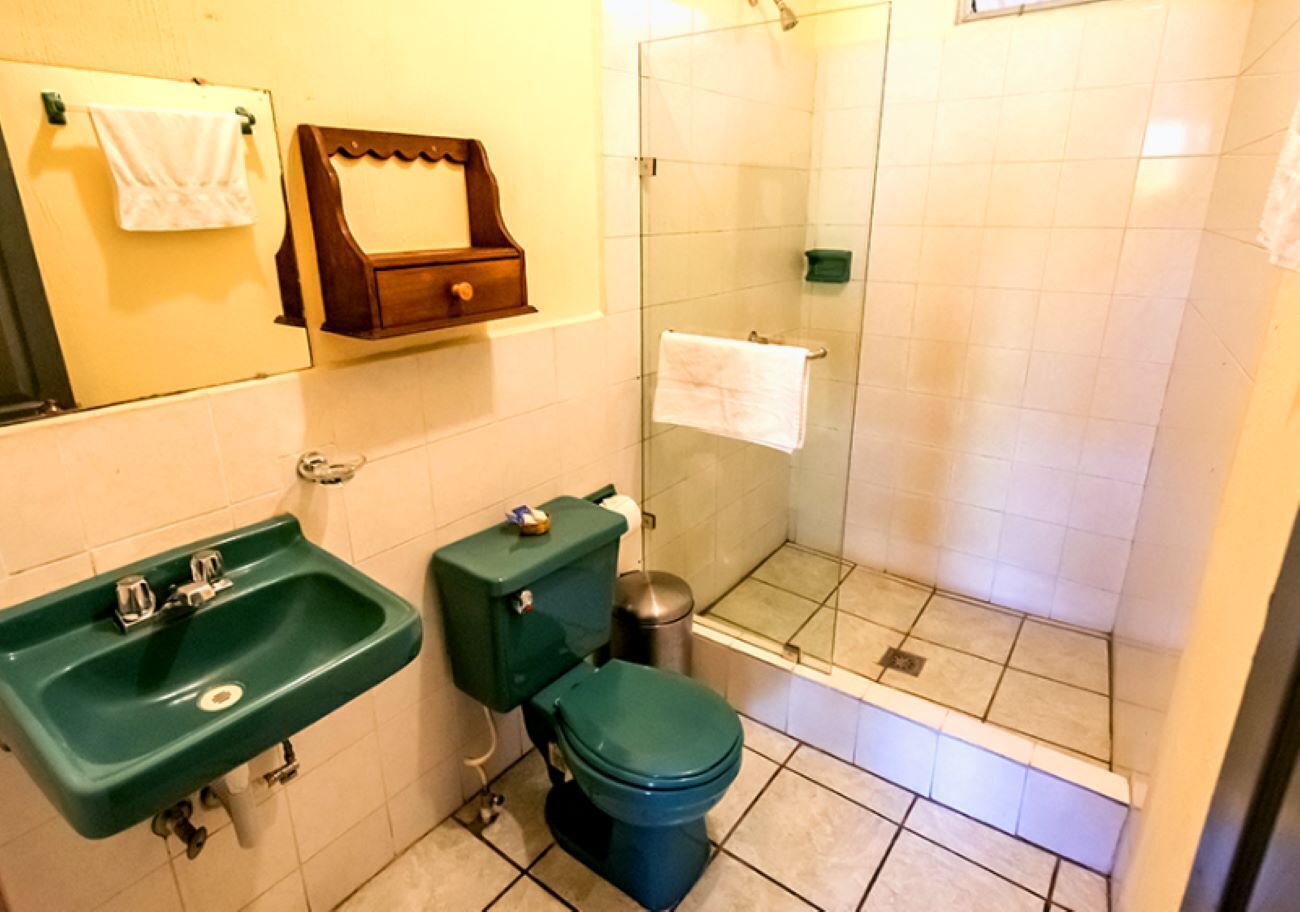 Un baño con un lavabo verde, un inodoro y una cabina de ducha de cristal.