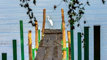 Un muelle de madera que se adentra en aguas tranquilas, con un ave blanca posada al final.