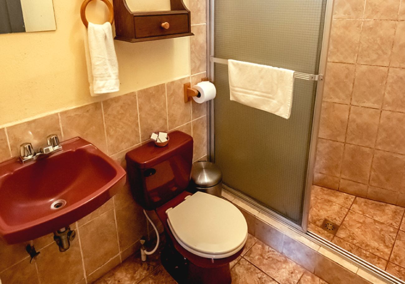 Une salle de bain avec un lavabo rouge, des toilettes et un espace douche.