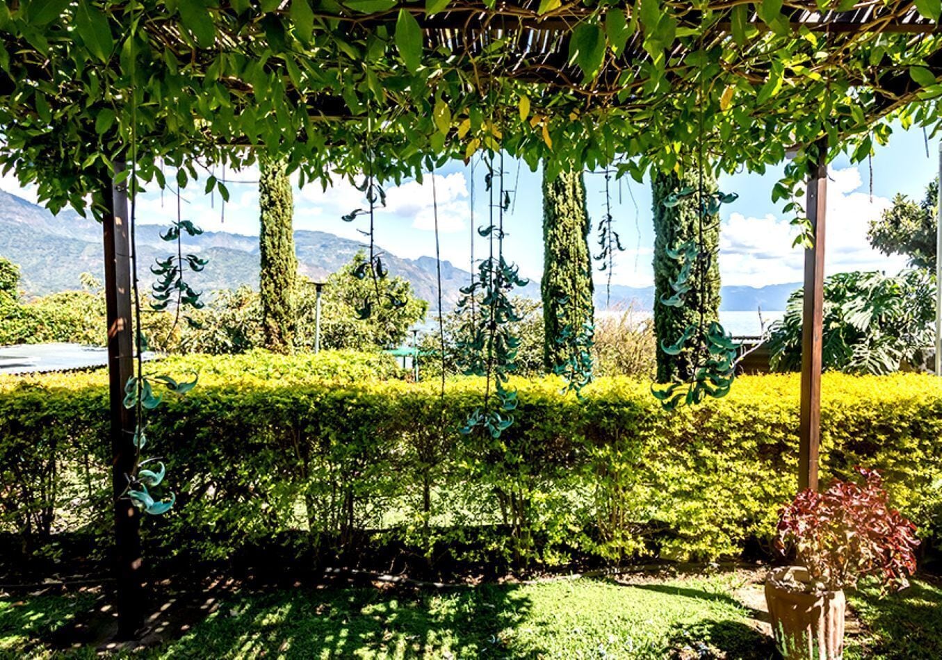 高級客房 | 客房內保險箱、熨斗/熨衣板、免費無線上網