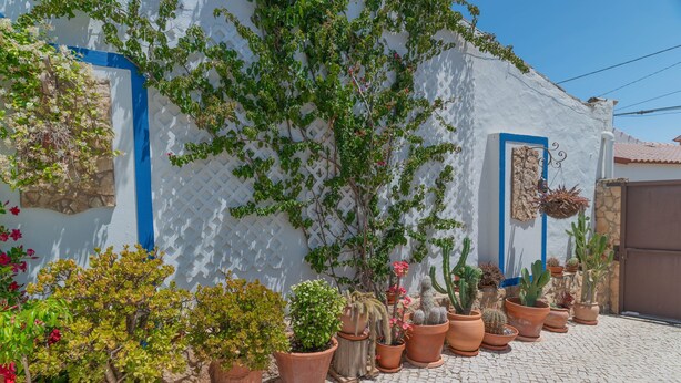 Une cour intérieure agrémentée de plantes en pot et un bâtiment blanc aux touches de bleu.