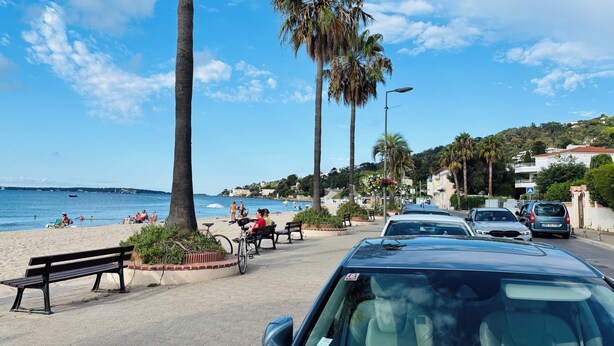 A coastal street with parked cars, benches, and palm trees.