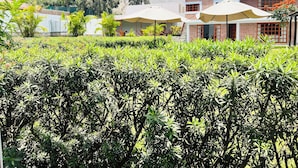 Un jardín ajardinado con setos cuidadosamente recortados, sombrillas exteriores y un edificio de ladrillo con ventanas.