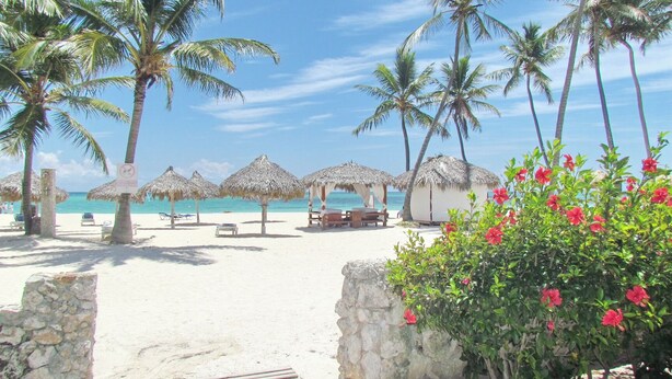 Une plage bordée de palmiers, avec des parasols en chaume et un ciel d’un bleu limpide.