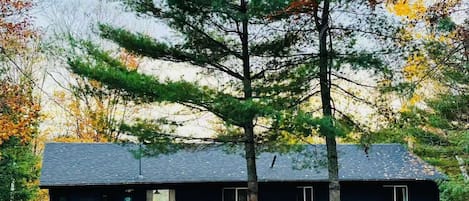 A cabin with a dark exterior, a single door, and a small window on the side.