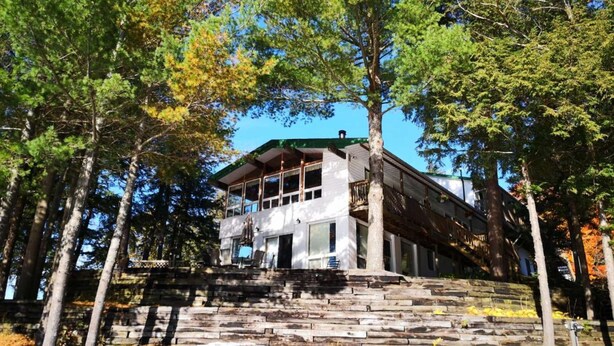 Una cabaña moderna con una escalera de piedra que sube a una terraza de madera, rodeada de árboles altos.