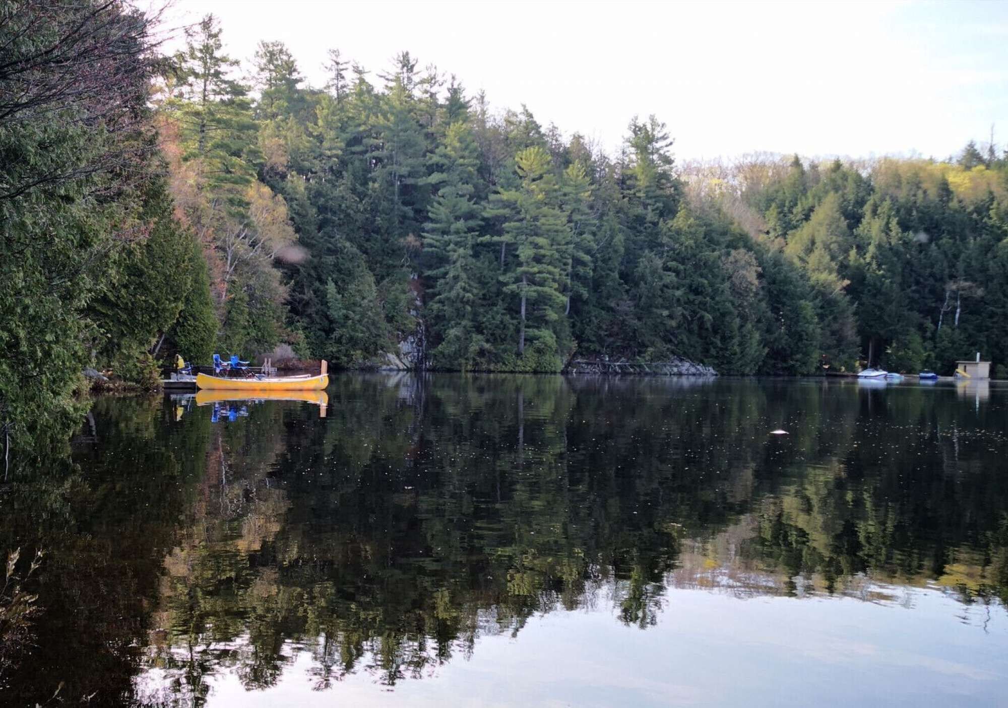 A calm lake with a yellow canoe docked on the shore, surrounded by dense forest.
