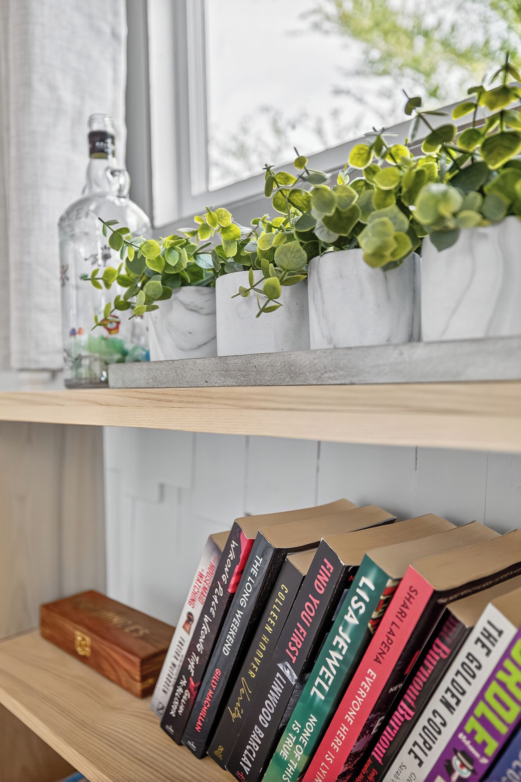A bookshelf with books and a decorative plant.