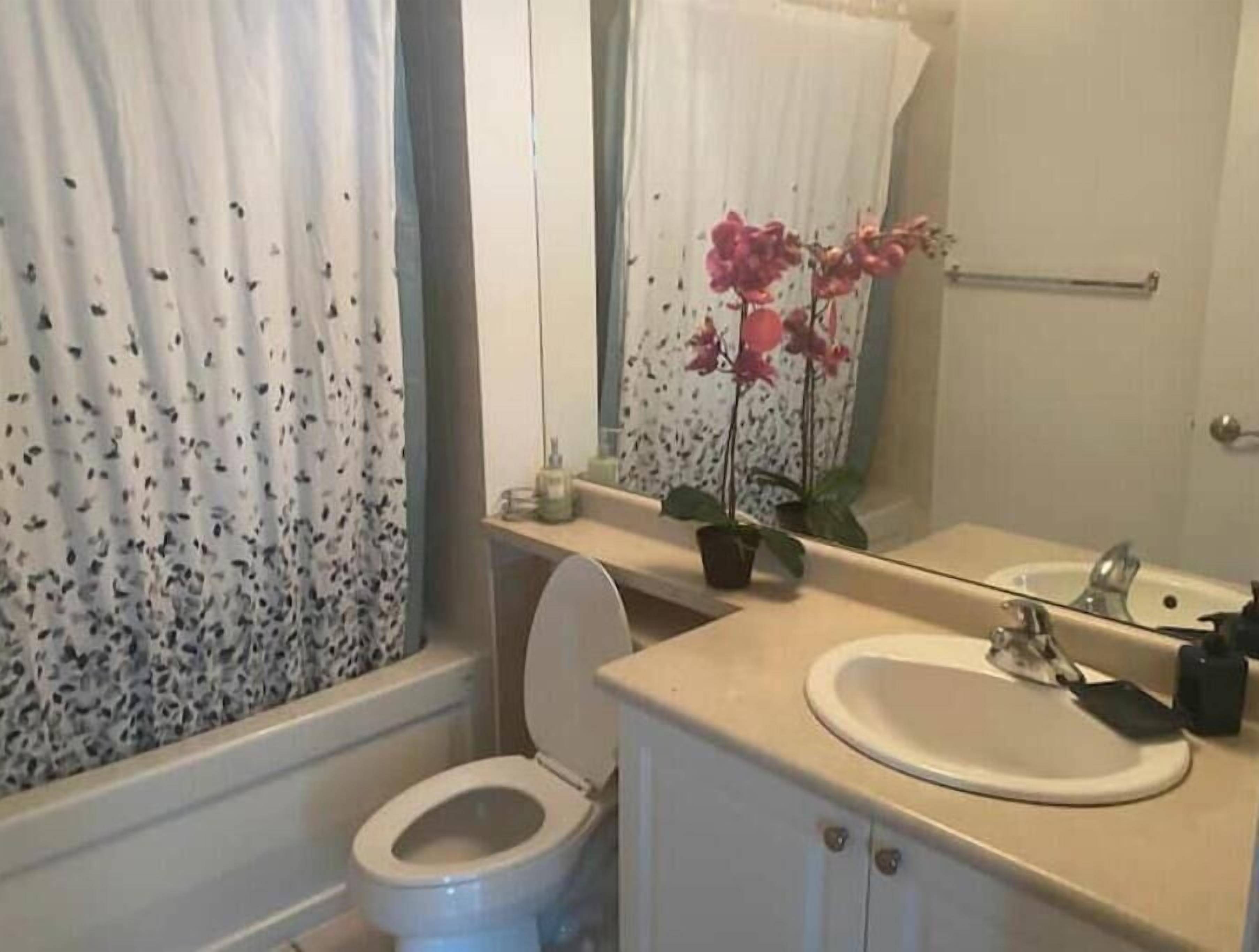 A bathroom with a toilet, sink, and mirror.