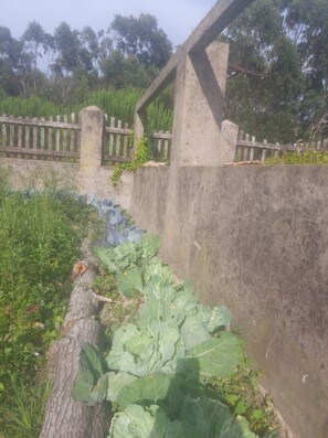 Área da propriedade