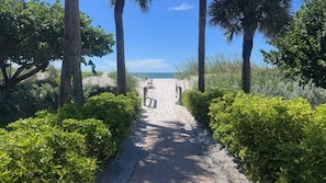Un sentier pavé mène à une plage bordée de palmiers et d’une végétation luxuriante de chaque côté.