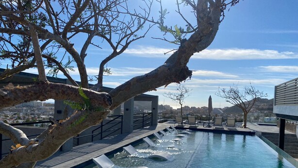 Una piscina infinitàndar a la terrassa amb vista a la ciutat, seients de bressol i un arbre.