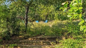 Een natuurlijke omgeving met een houten brug en blauwe stoelen op de achtergrond.