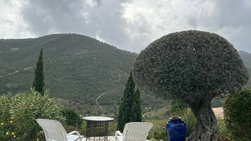 Terras