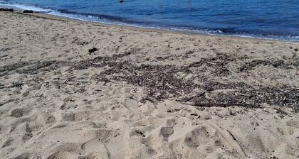 A louerAppartement 37 m2+ terrasse jardin 20m2 RDCPort Cogolin 4 personnes