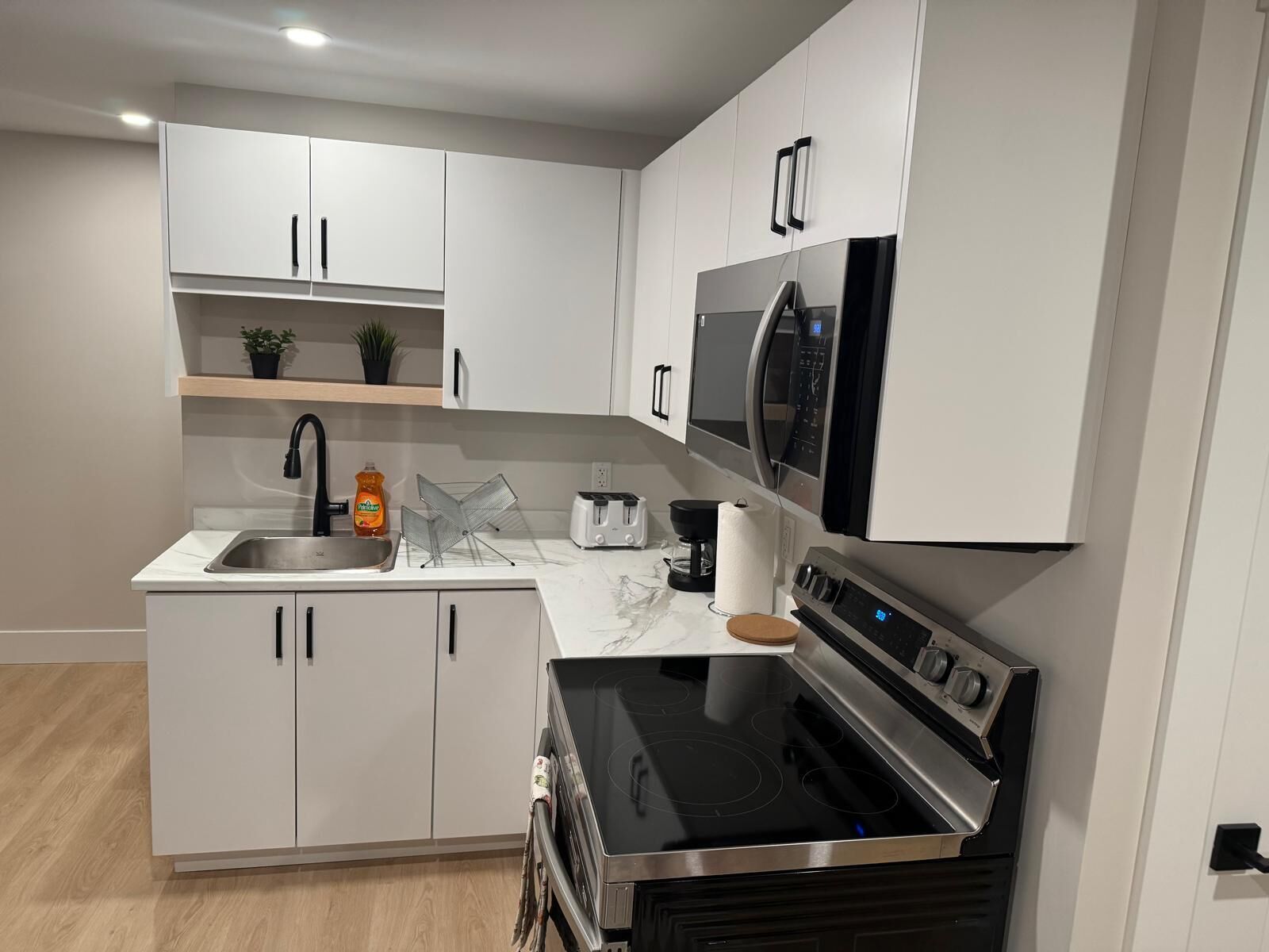 Frigorífico, microondas, horno y placa de cocina