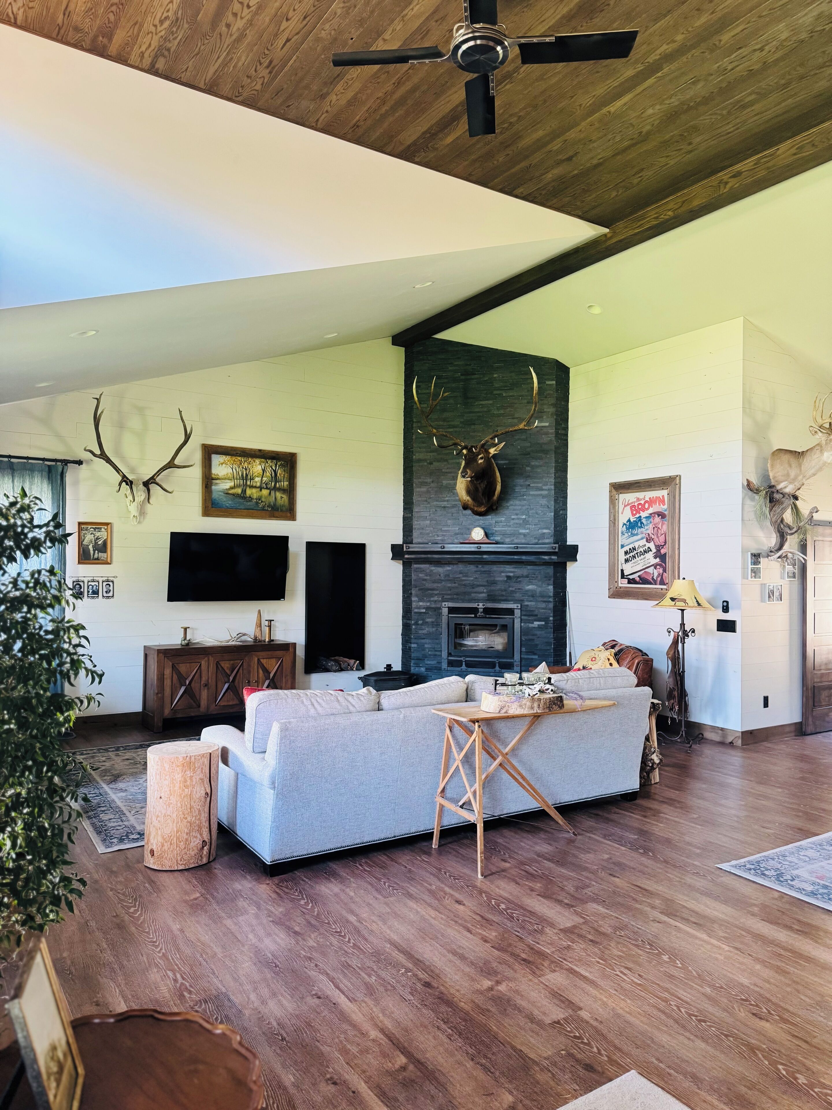 TV connectée, livres