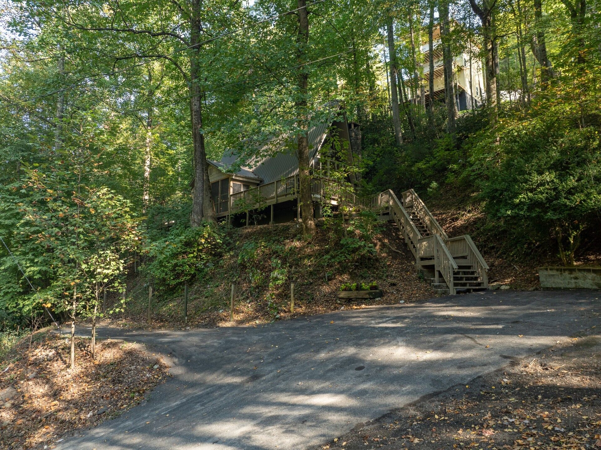 A forested area with a building that has a staircase leading up to it.