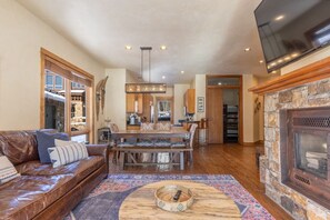TV, fireplace, books