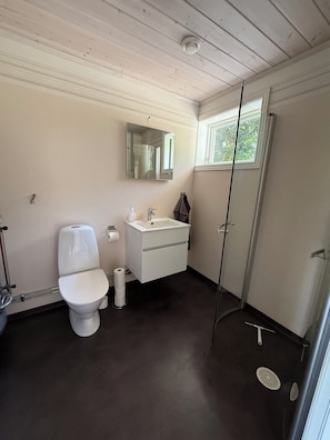 Un baño con inodoro, lavabo, espejo y ducha.